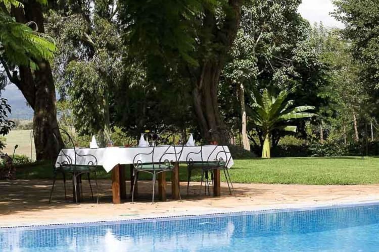 Poolside dining